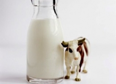 Thời điểm thích hợp đổi sữa cho trẻ?